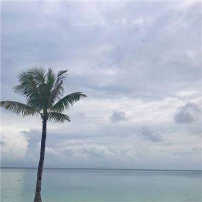 大侠挂个机百度版下载